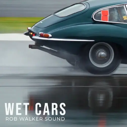 WET CARS