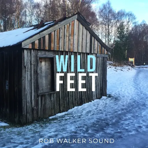 WILD FEET