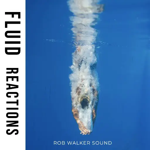 FLUID REACTIONS